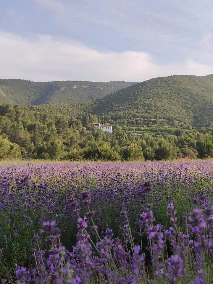 Eco Maset, Rural Rodeado De Naturaleza *